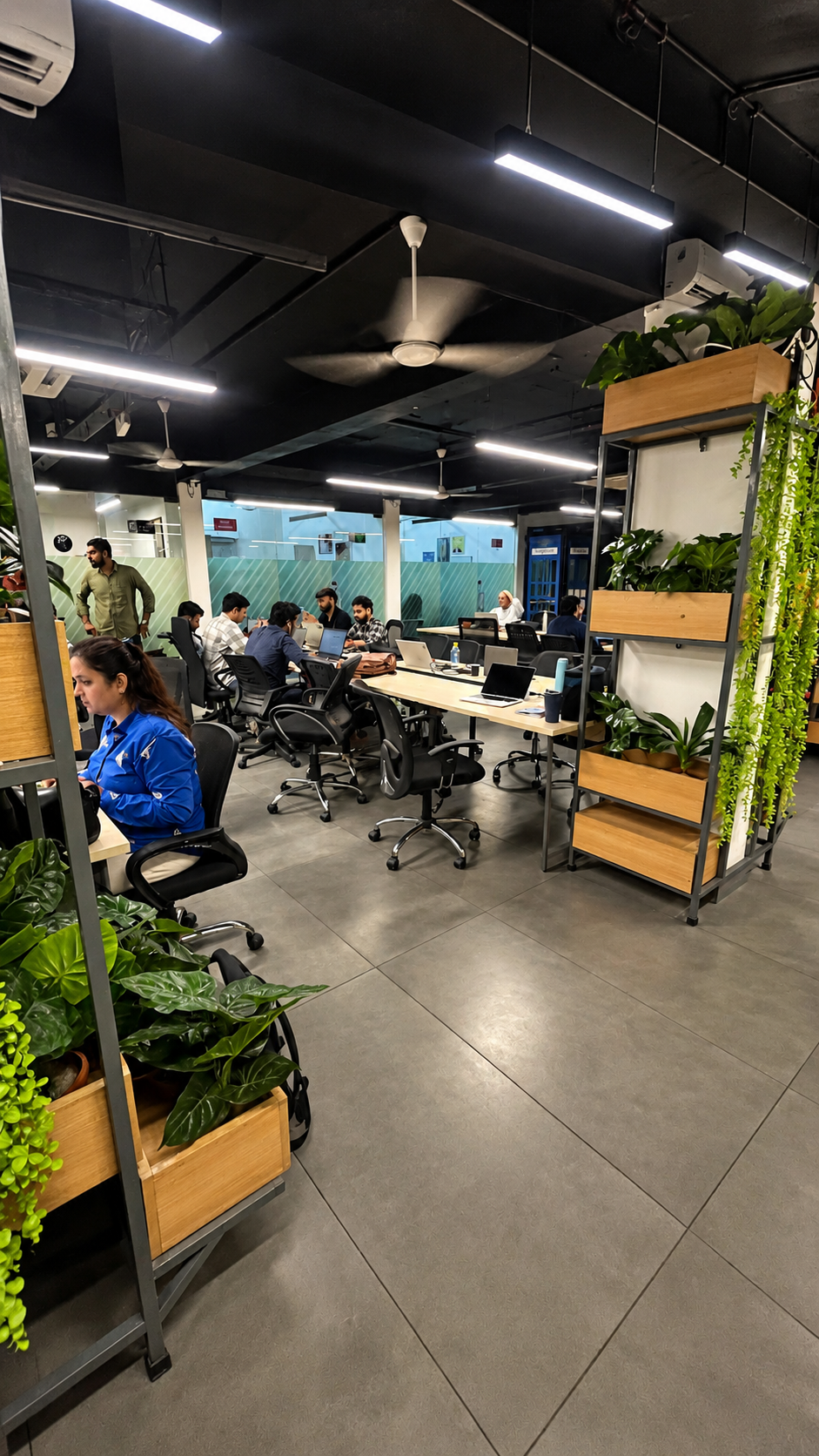 Expert Link Office
